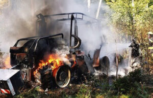 Sanierung eines Brandschadens im Hammelburger Forst | Oberthulba