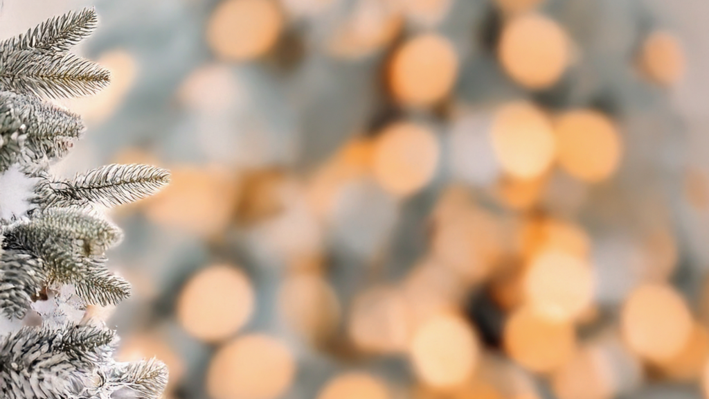 Betriebsurlaube unserer Niederlassungen 2025/2026