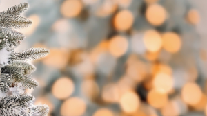 Betriebsurlaube unserer Niederlassungen 2025/2026